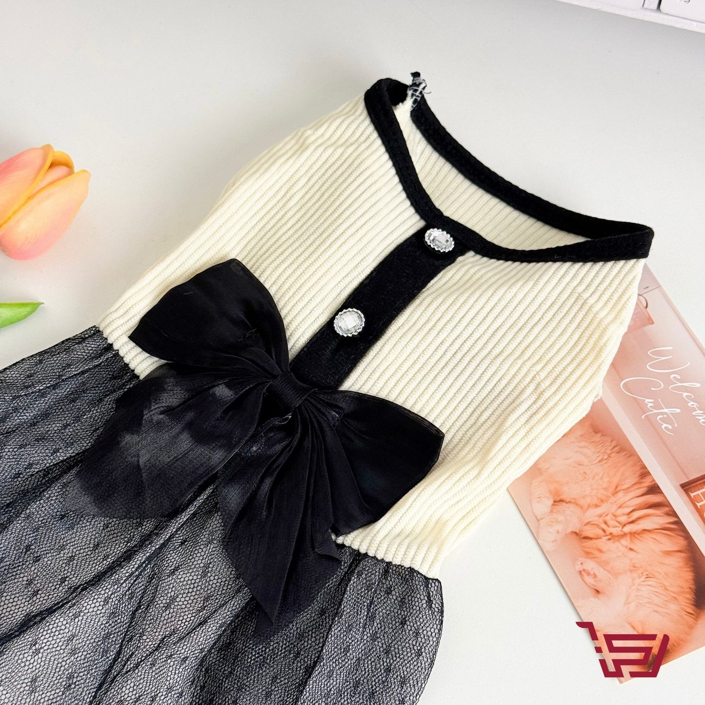 فستان قطط فيونكة