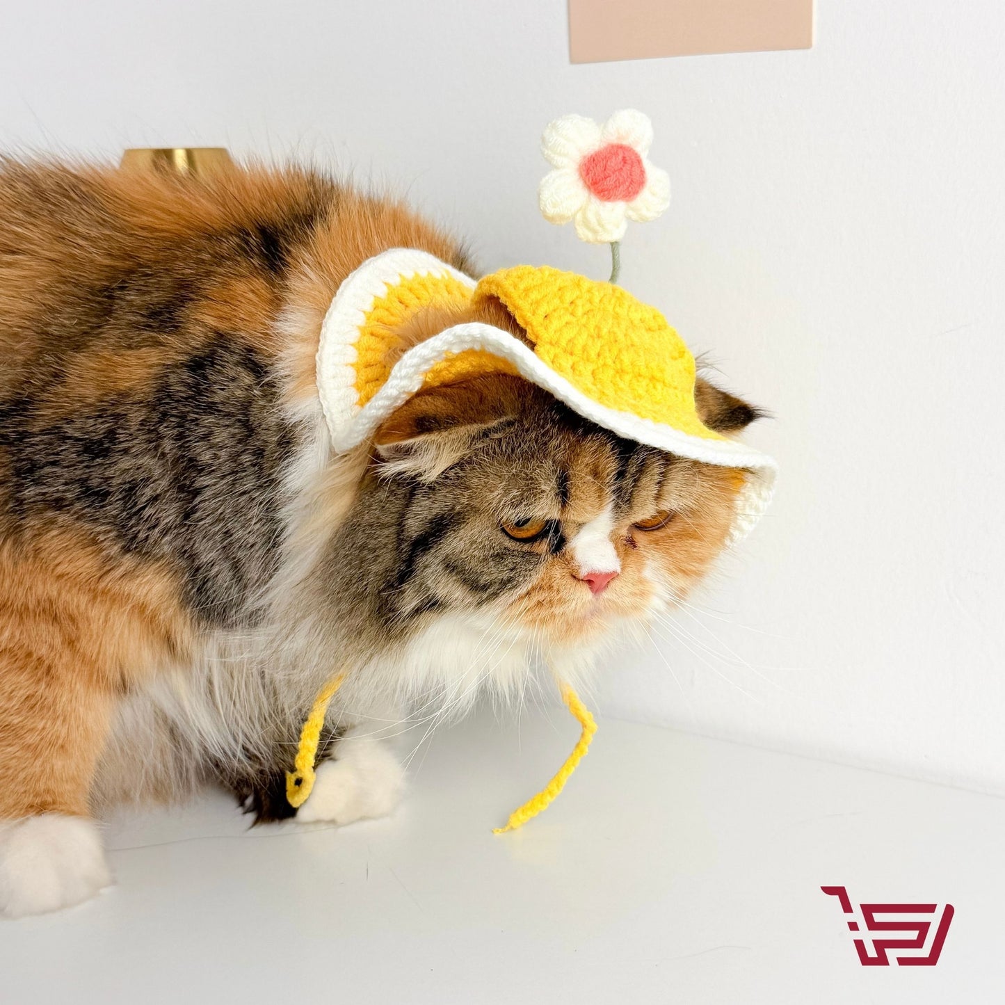 قبعة قطة بشكل زهرة