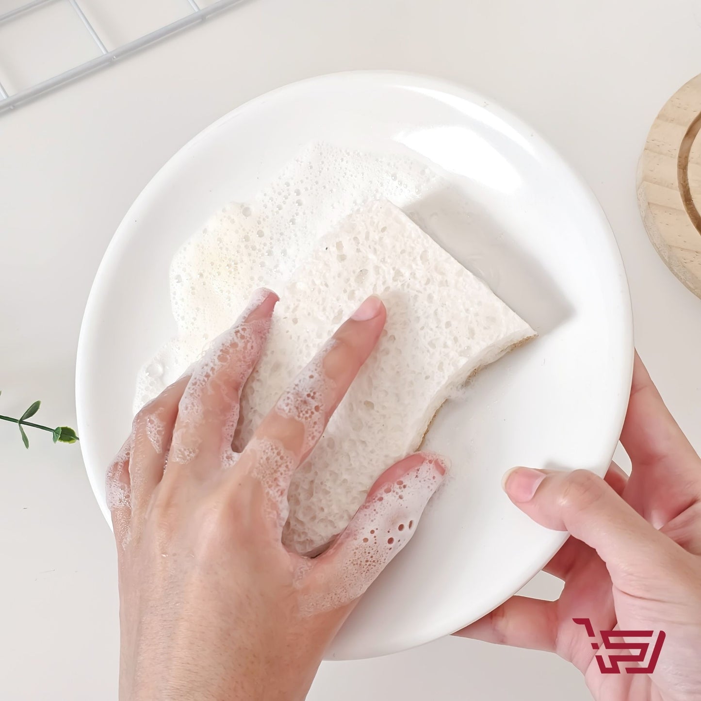 اسفنجة غسيل الصحون