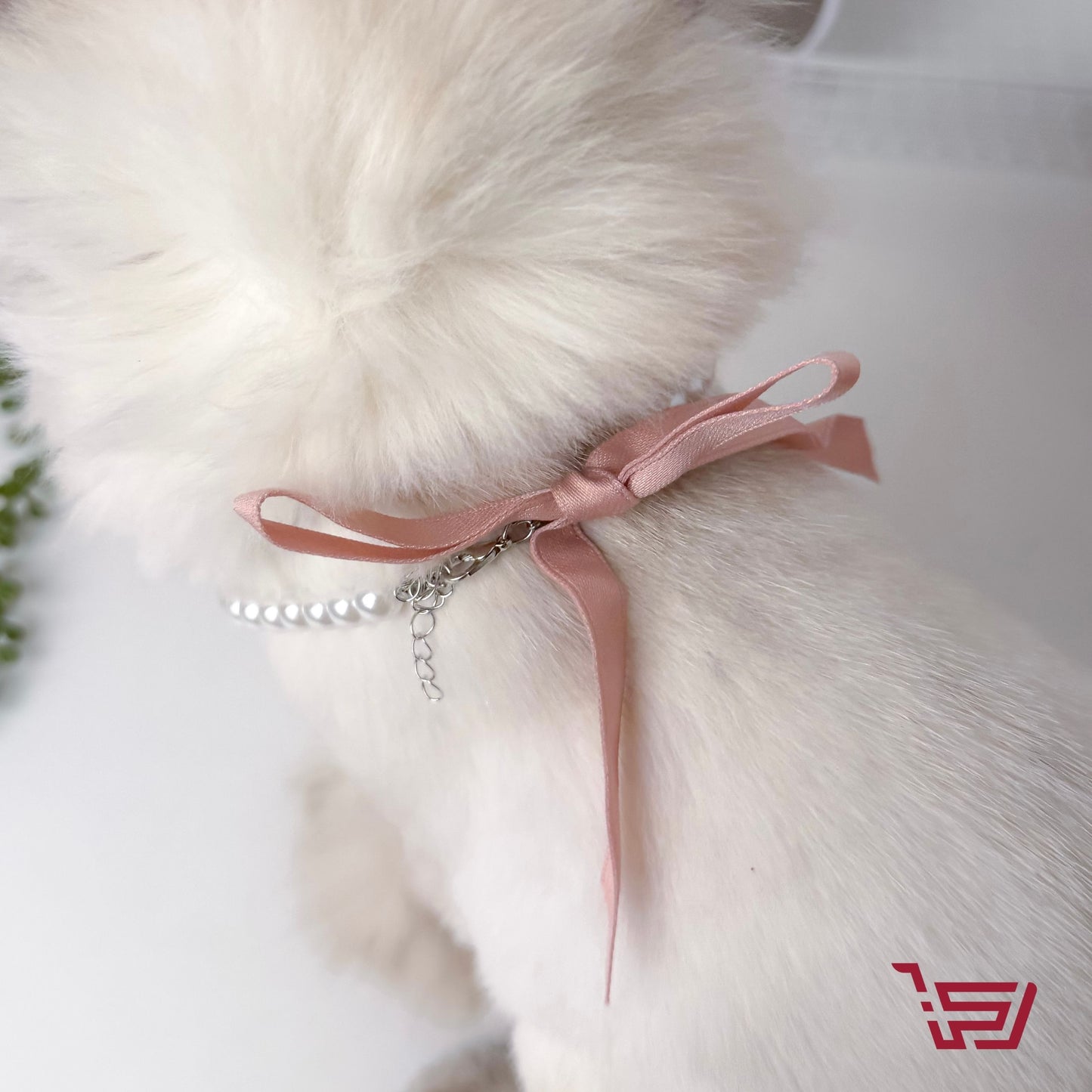 قلادة قطط لؤلؤ