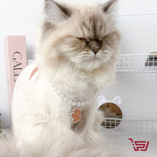 قلادة قطط لؤلؤ