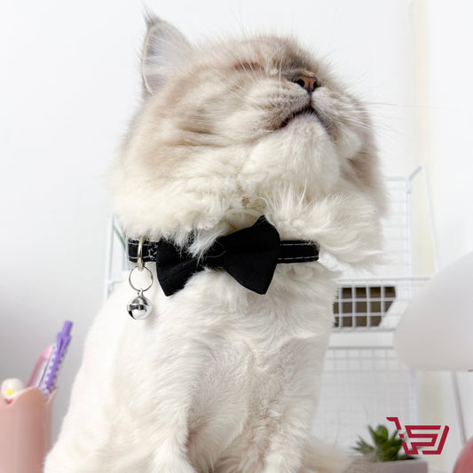 قلادة قطط فيونكة مع جرس