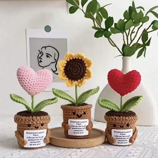 نبتة ديكور حياكة