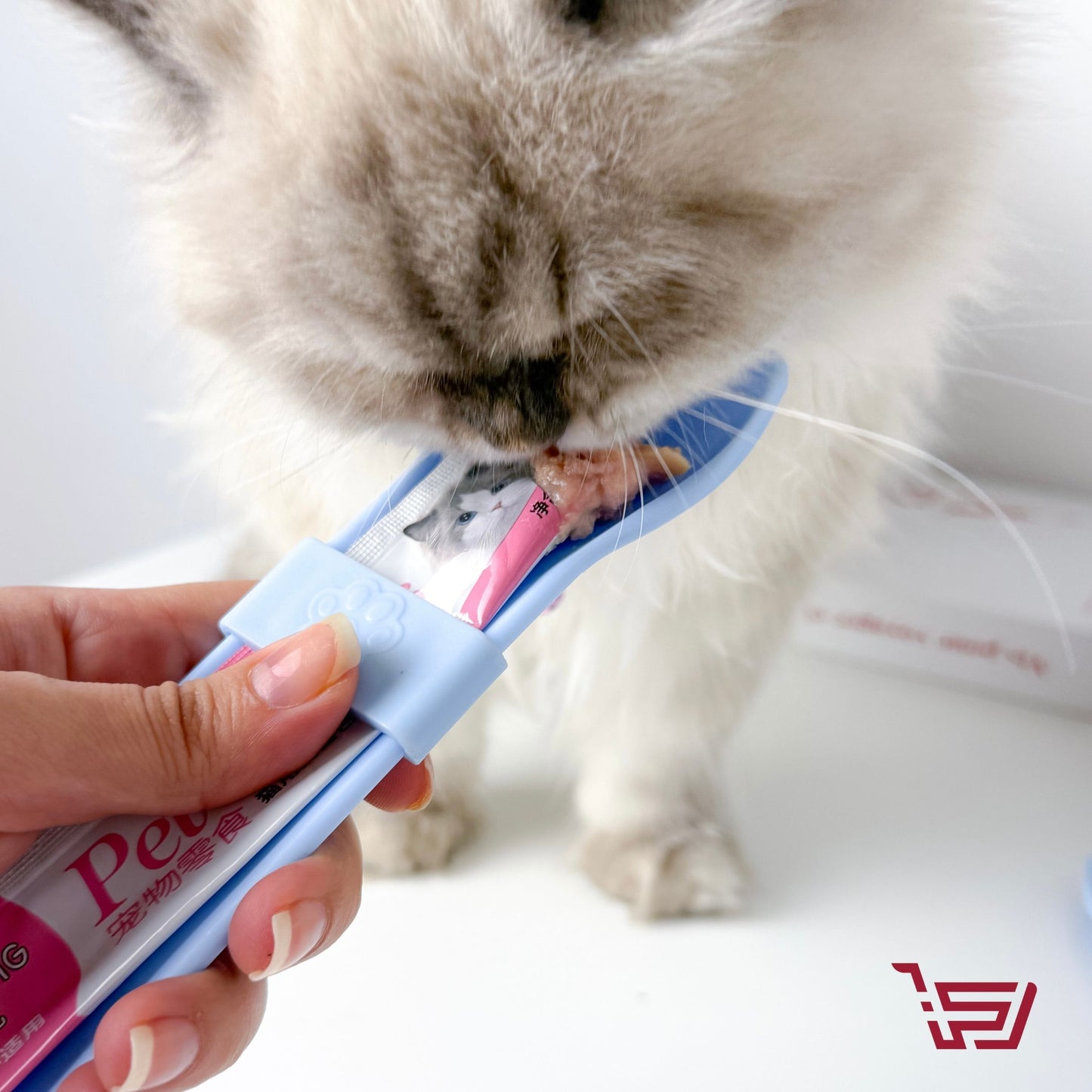 ملعقة طعام للقطط