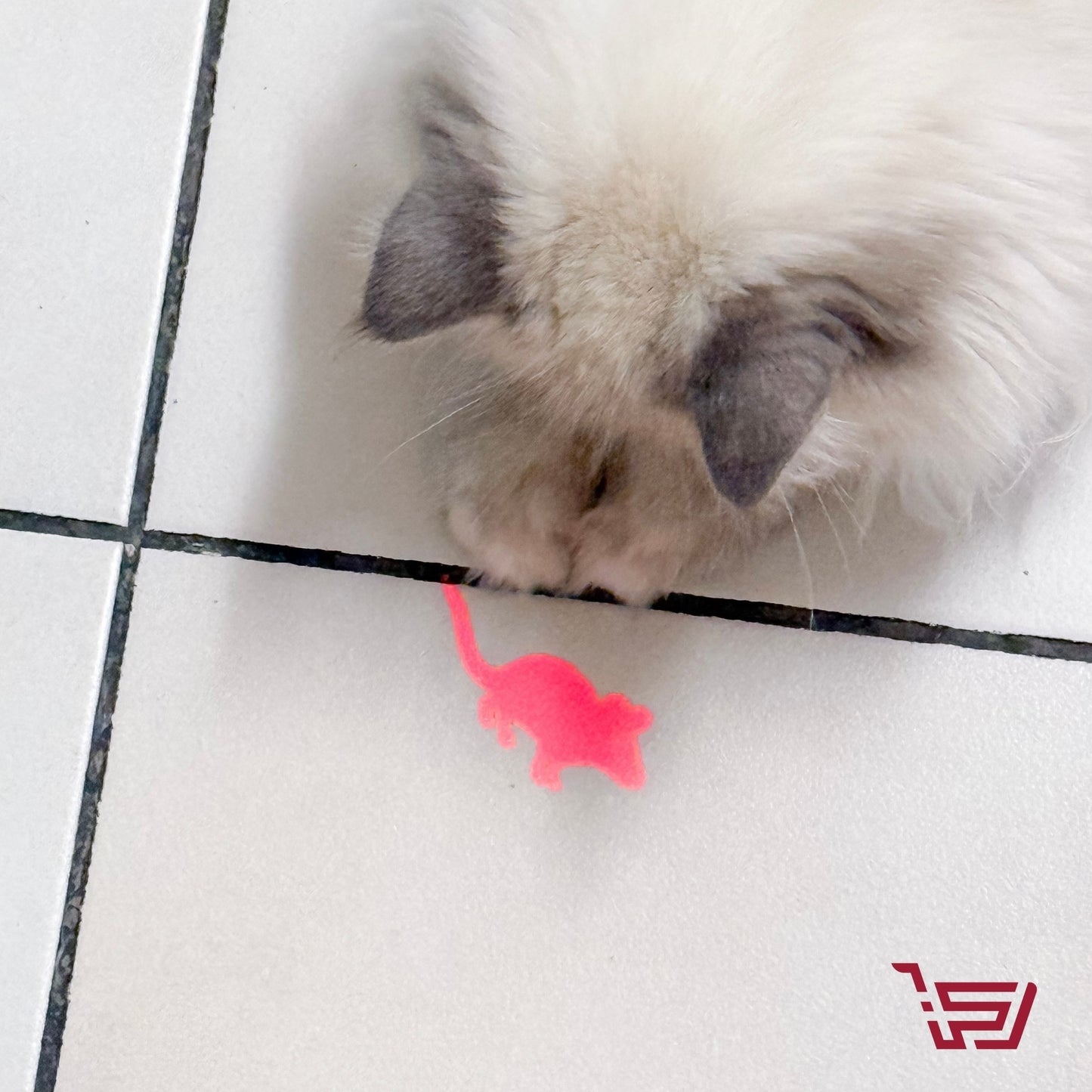 لعبة الليزر للقطط