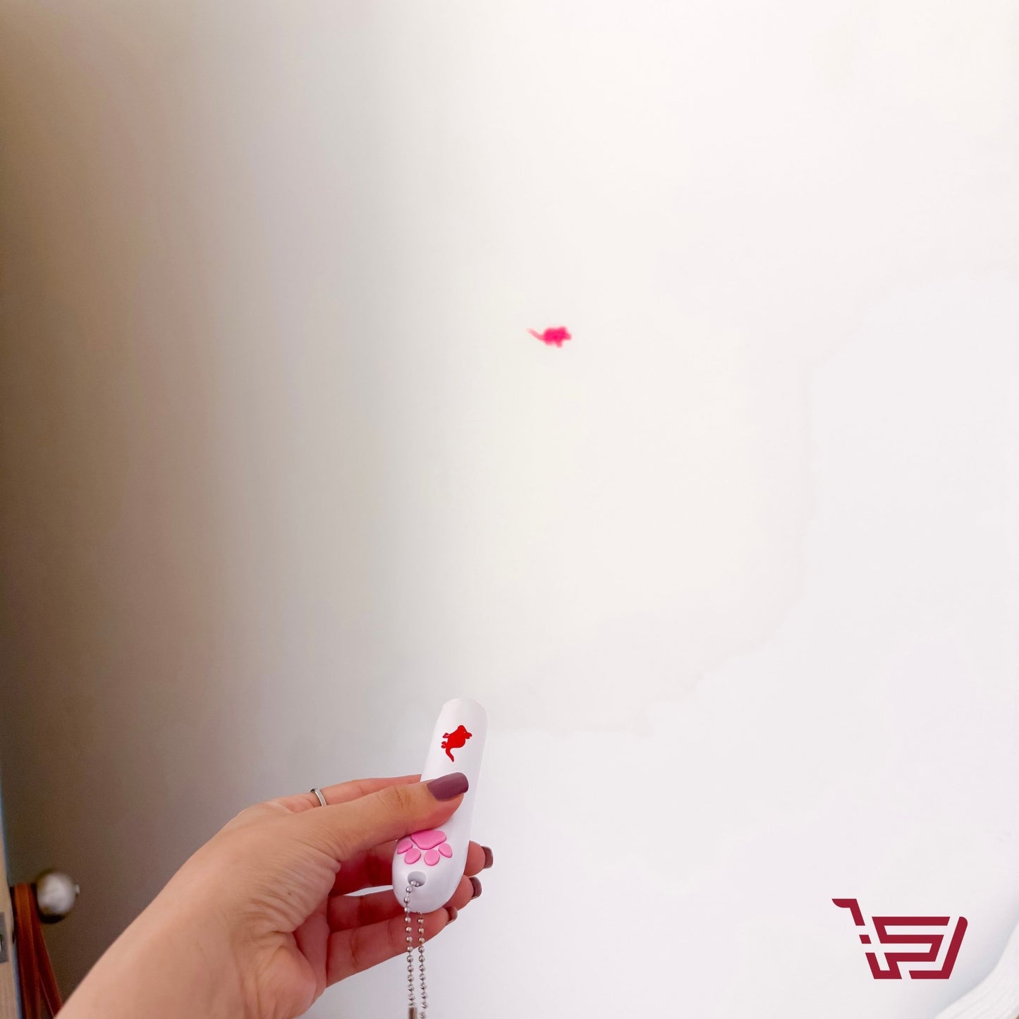 لعبة الليزر للقطط