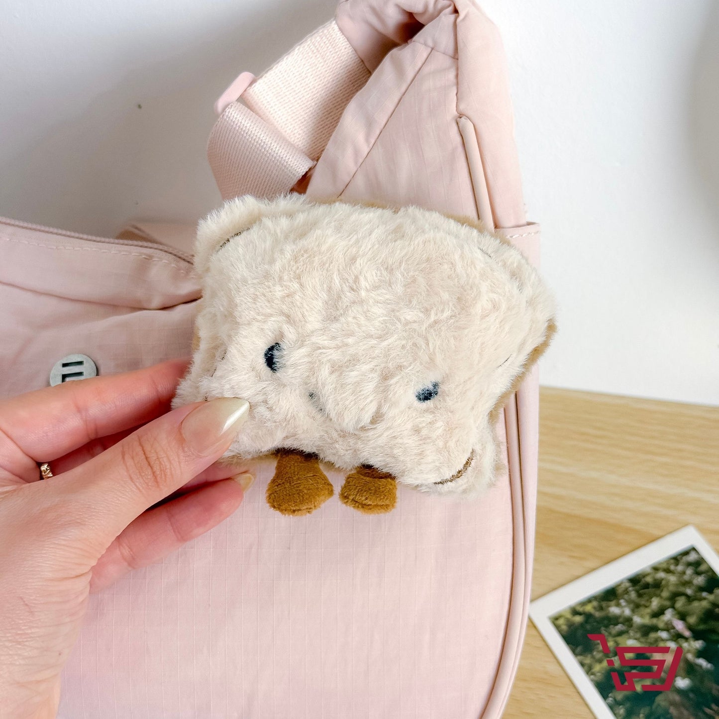 بروش توست فرو كبير