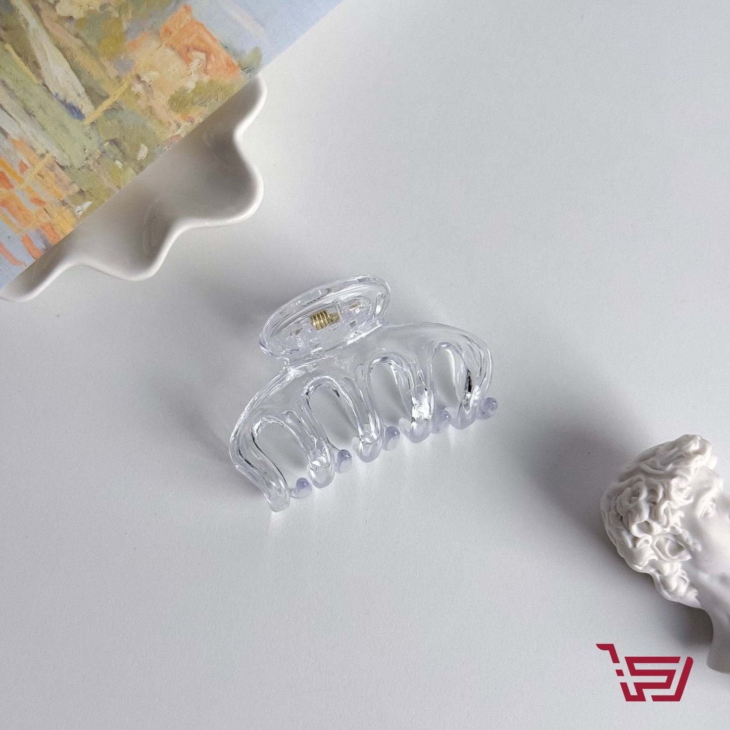 قراصة شعر صغيرة