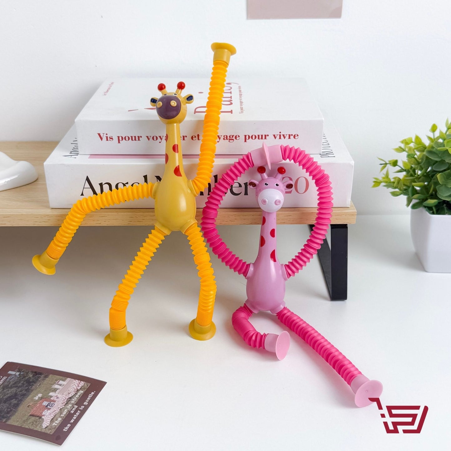 الزرافة الاصقة