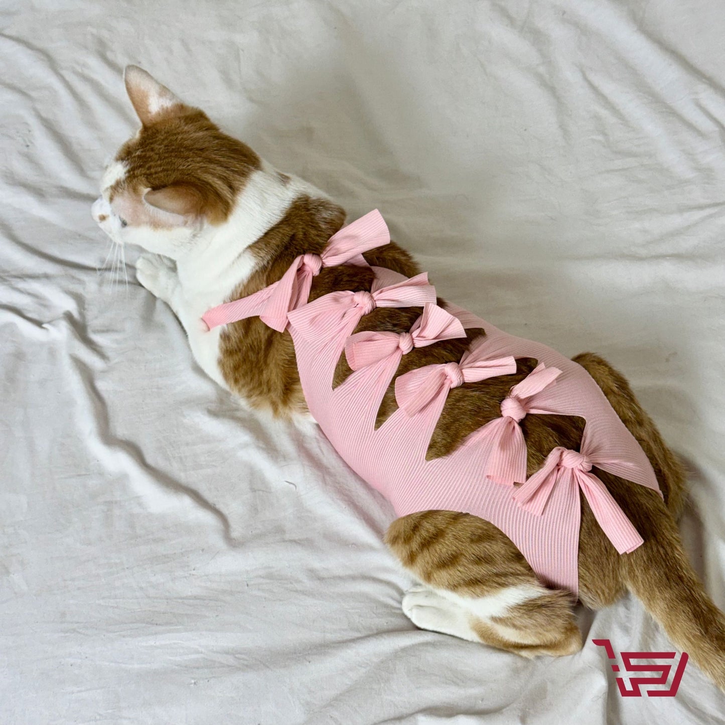 فستان الفيونكة للقطط