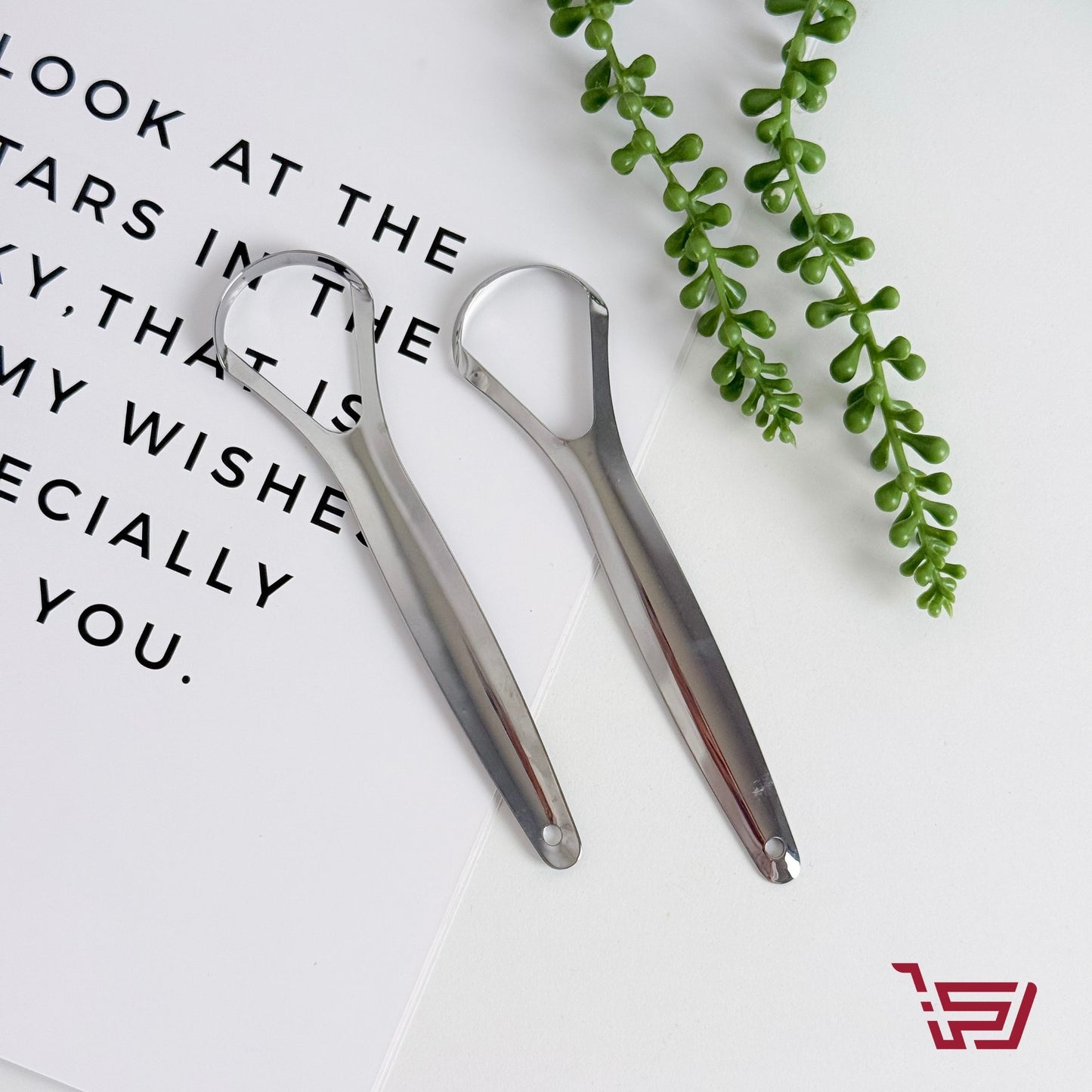 اداة تنظيف اللسان مع الفولاذ المقاوم لصدأ