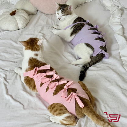 فستان الفيونكة للقطط