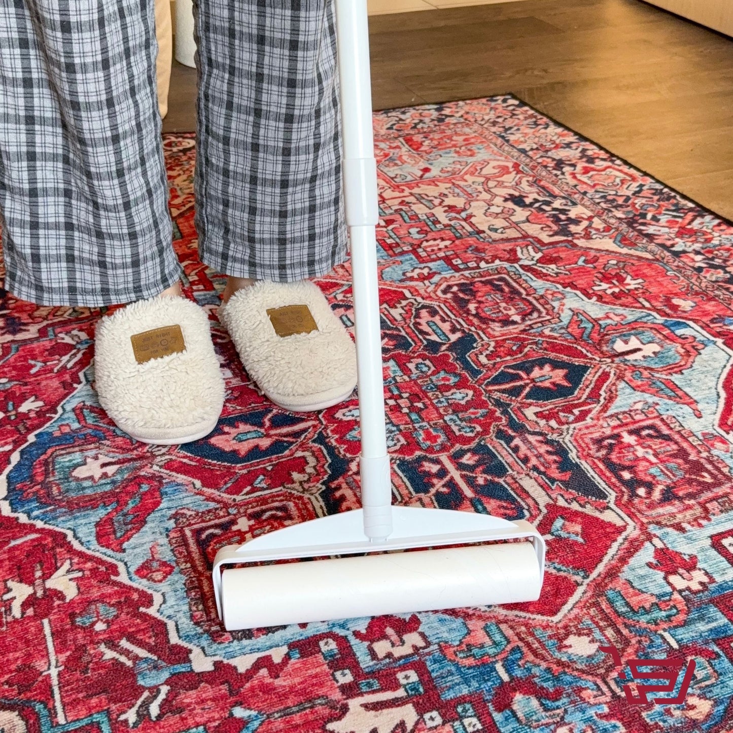 فرشاة تنظيف السجاد من الشعر