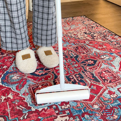 فرشاة تنظيف السجاد من الشعر