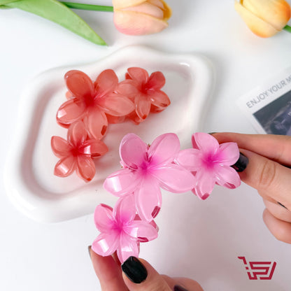 قراصة شعر الورد كبيرة