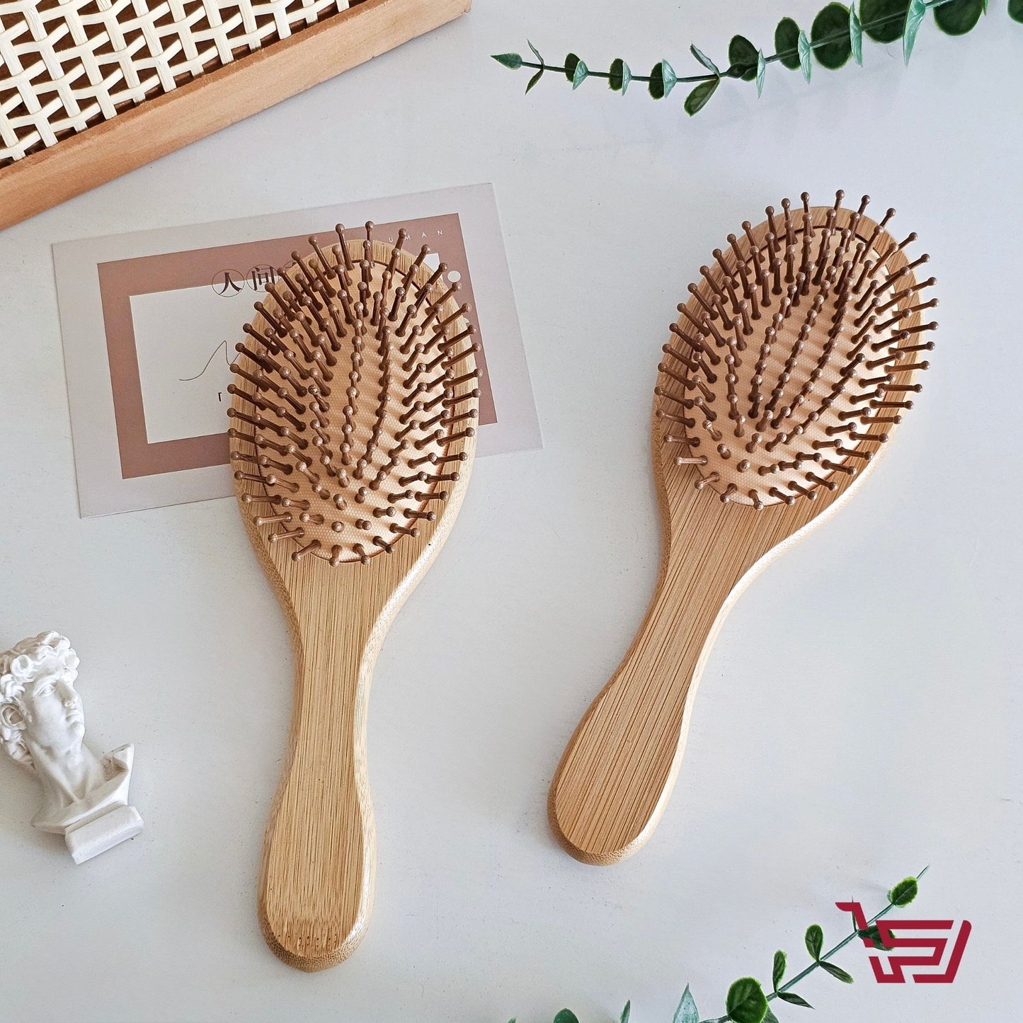 فرشاة شعر خشب