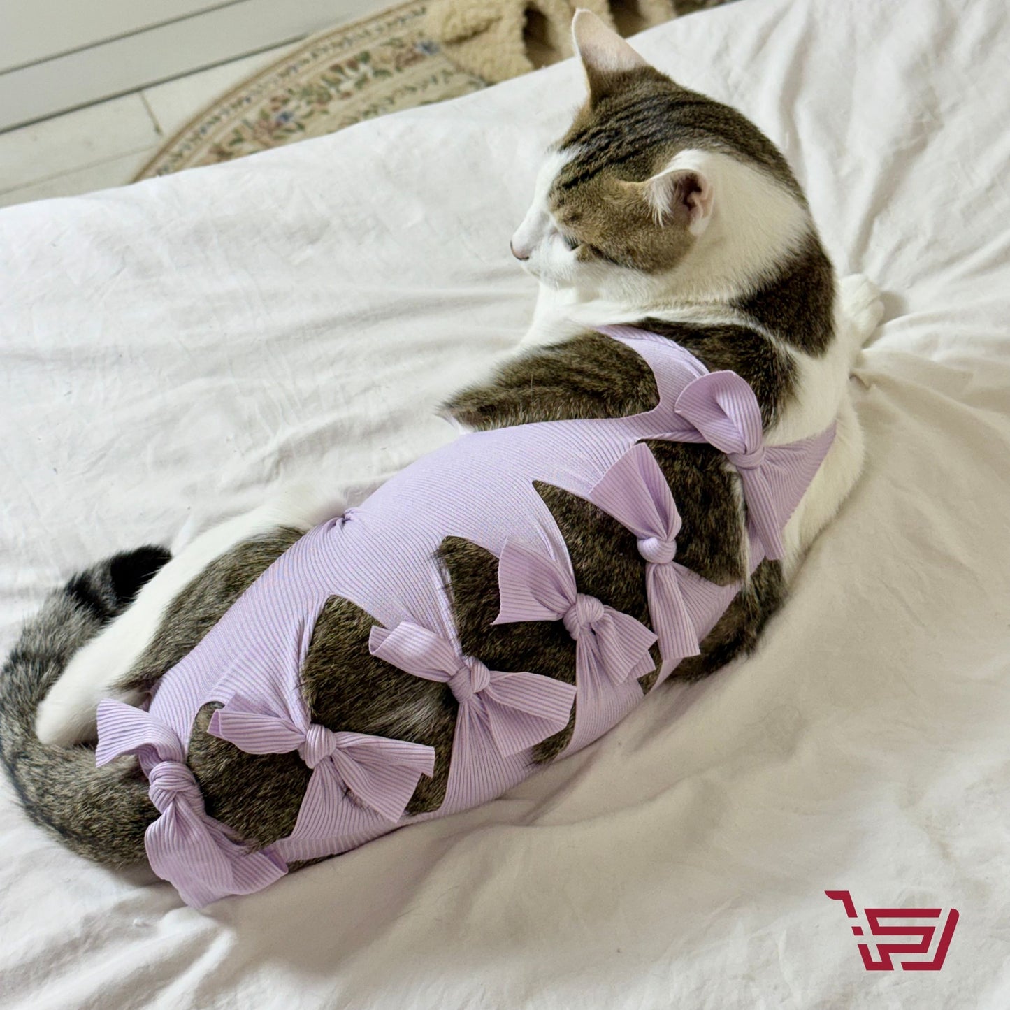 فستان الفيونكة للقطط