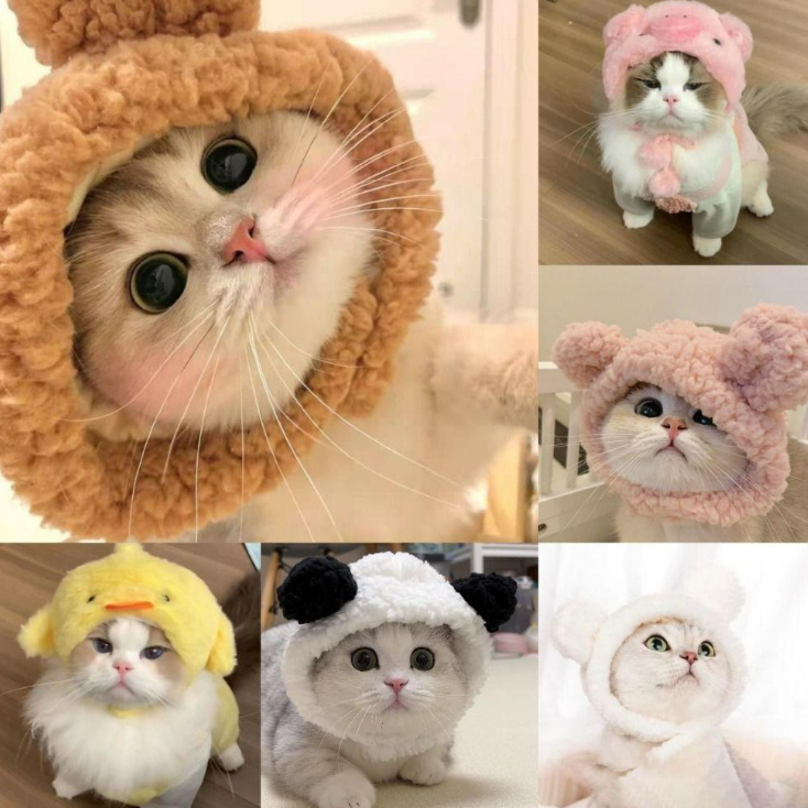 قبعة حيوانات اليفة فرو