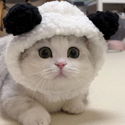 قبعة حيوانات اليفة فرو