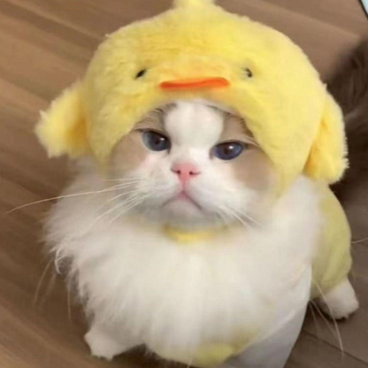 قبعة حيوانات اليفة فرو