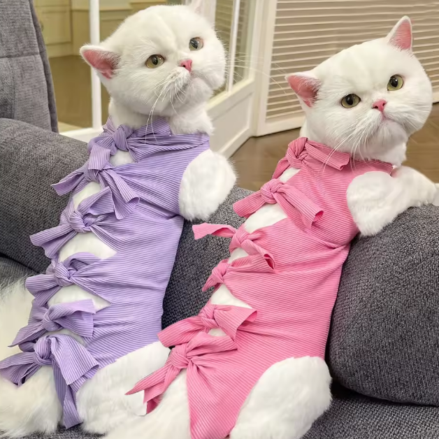 فستان الفيونكة للقطط