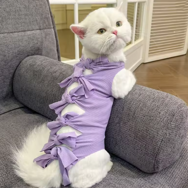 فستان الفيونكة للقطط