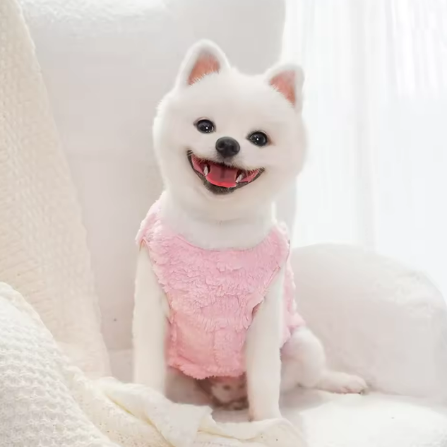 ملابس حيوانات لقطط والكلاب